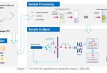 How Effective Is LC-MS for Oligonucleotide Analysis