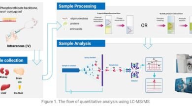 How Effective Is LC-MS for Oligonucleotide Analysis