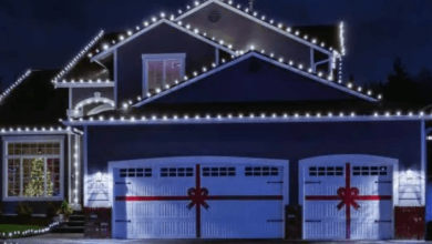 Professional Christmas Light Installation Services