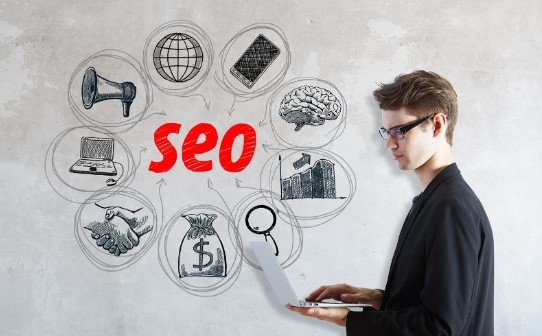 SEO Consultant