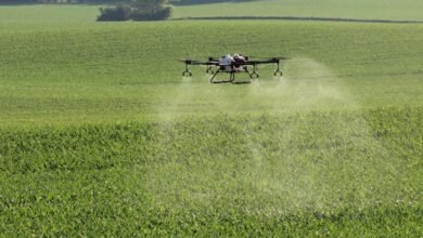 Cost Benefits of Agricultural Spray Drones in Auburn Alabama