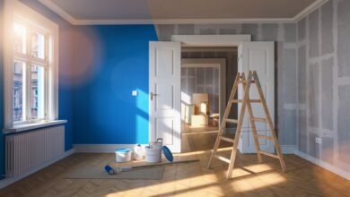 Color Psychology Insights By Professional Painters Arizona