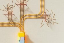 system data alignment process